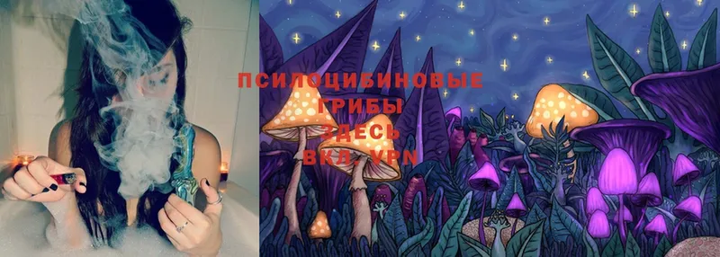 Псилоцибиновые грибы MAGIC MUSHROOMS  Новочебоксарск 